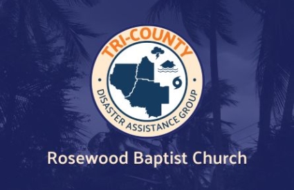 Palm trees sway in the wind under a cloudy, gray sky