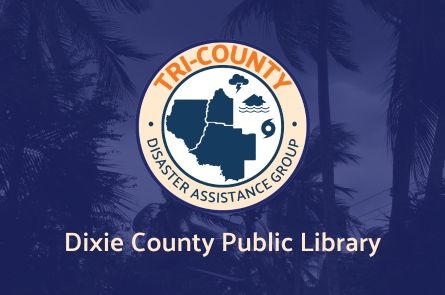 Palm trees sway in the wind under a cloudy, gray sky